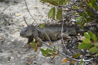 Название: зхз.jpg
Просмотров: 1605
Размер: 21.1 Кб
