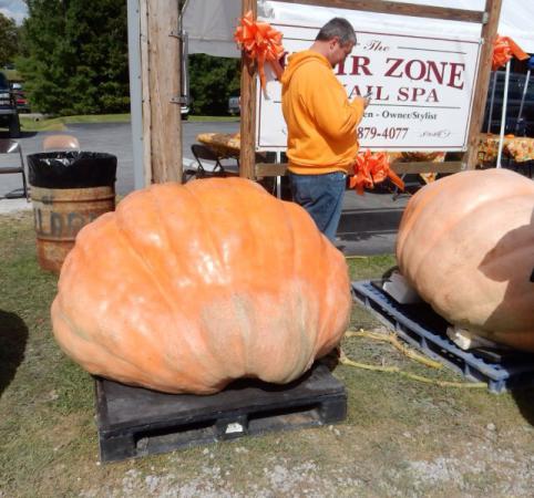 Название: image.jpg
Просмотров: 819
Размер: 42.8 Кб