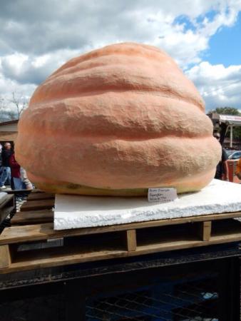 Название: image.jpg
Просмотров: 881
Размер: 22.2 Кб