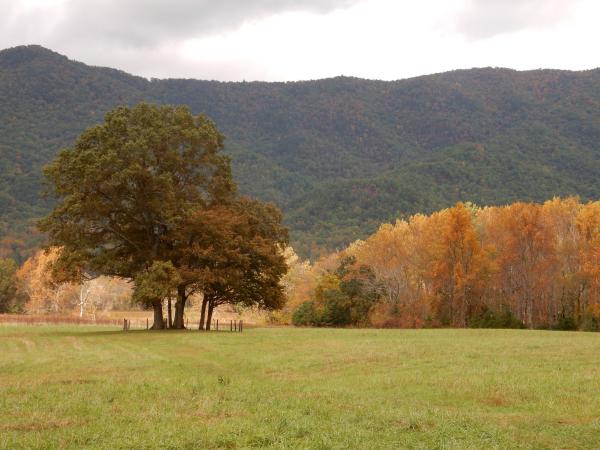 Название: image.jpg
Просмотров: 761
Размер: 42.0 Кб