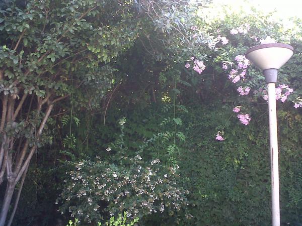 Название: IMG-20150315-00135.jpg
Просмотров: 523
Размер: 63.0 Кб