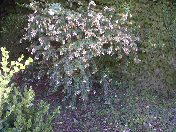 Название: IMG-20150315-00137.jpg
Просмотров: 533
Размер: 79.0 Кб