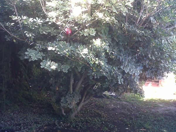 Название: IMG-20150315-00138.jpg
Просмотров: 684
Размер: 68.7 Кб