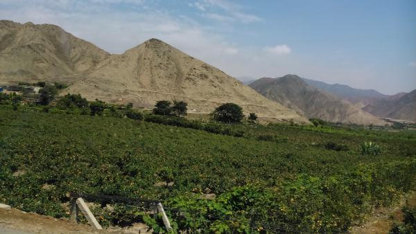 Название: DSC_0160.jpg
Просмотров: 890
Размер: 37.7 Кб