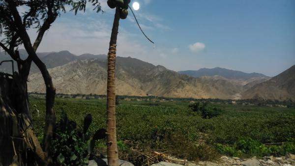 Название: DSC_0162.jpg
Просмотров: 922
Размер: 32.3 Кб