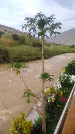 Название: DSC_0182.jpg
Просмотров: 927
Размер: 21.0 Кб