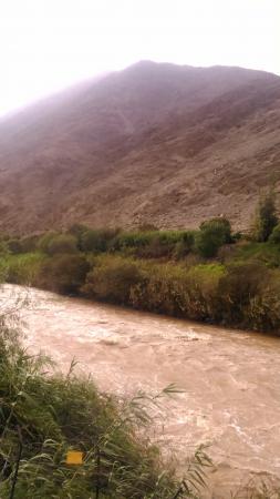 Название: DSC_0185.jpg
Просмотров: 896
Размер: 18.3 Кб