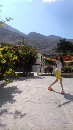 Название: DSC_0202.jpg
Просмотров: 878
Размер: 18.0 Кб