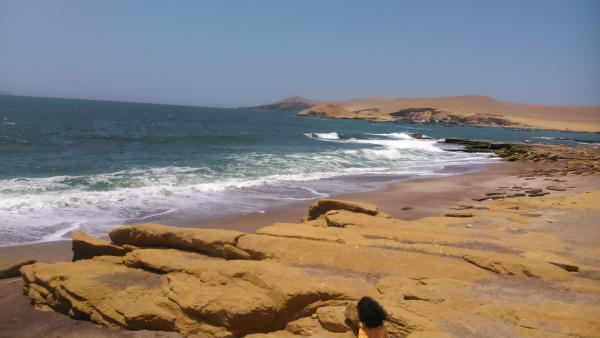 Название: DSC_0293.jpg
Просмотров: 820
Размер: 26.6 Кб