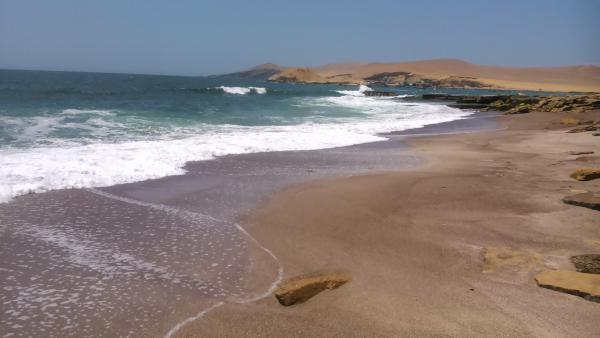 Название: DSC_0294.jpg
Просмотров: 823
Размер: 24.7 Кб