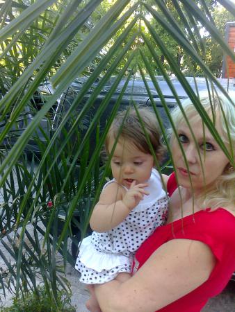 Название: Foto0337.jpg
Просмотров: 801
Размер: 38.6 Кб