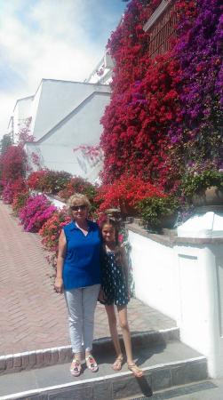 Название: 16830893_899519043523790_8926375136910140844_n.jpg
Просмотров: 541
Размер: 24.2 Кб