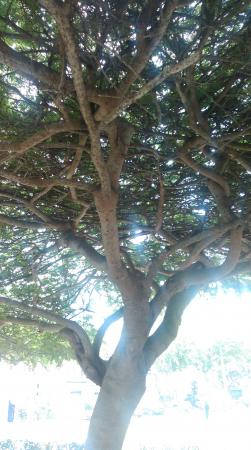 Название: IMAG4899.jpg
Просмотров: 853
Размер: 27.5 Кб