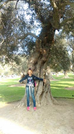 Название: IMAG5362.jpg
Просмотров: 771
Размер: 31.1 Кб