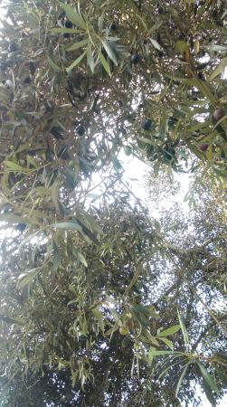 Название: IMAG5361.jpg
Просмотров: 652
Размер: 38.8 Кб