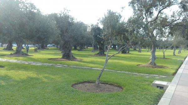 Название: IMAG5364.jpg
Просмотров: 611
Размер: 35.3 Кб