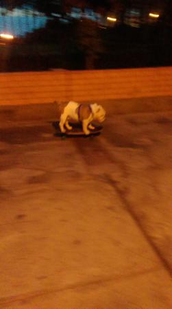 Название: IMAG5356.jpg
Просмотров: 607
Размер: 11.3 Кб