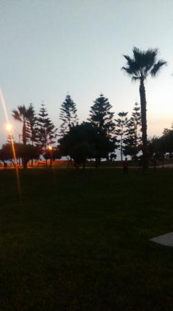 Название: IMAG5351.jpg
Просмотров: 588
Размер: 11.9 Кб