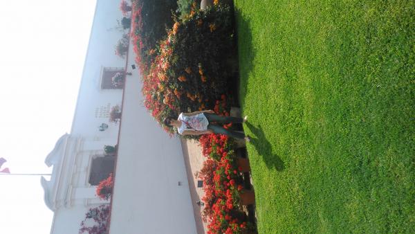 Название: DSC_0570.jpg
Просмотров: 1184
Размер: 38.9 Кб