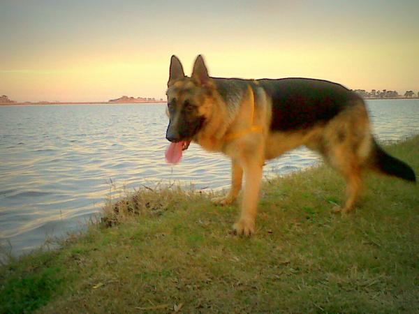 Название: becki na lagunke 1.jpg
Просмотров: 1027
Размер: 35.2 Кб