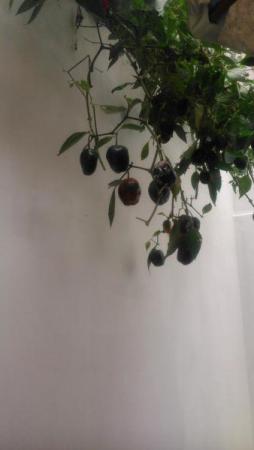 Название: DSC_0837.jpg
Просмотров: 929
Размер: 11.6 Кб