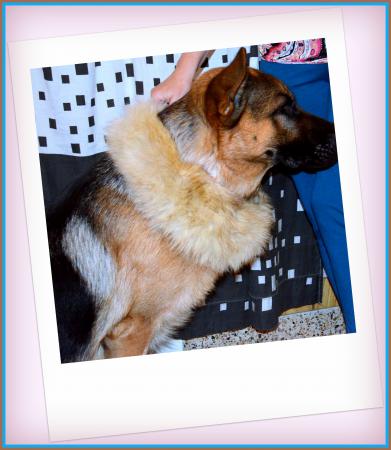 Название: beck polyaroid.jpg
Просмотров: 593
Размер: 28.6 Кб