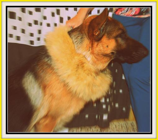 Название: becki 1.jpg
Просмотров: 470
Размер: 33.7 Кб