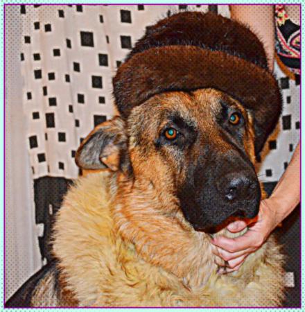 Название: becki2.jpg
Просмотров: 550
Размер: 42.7 Кб