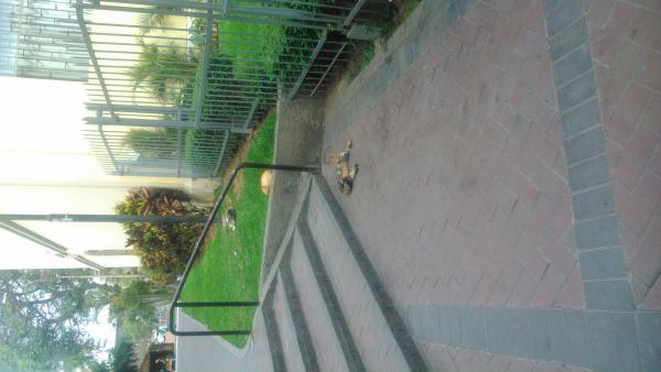 Название: DSC_0925.jpg
Просмотров: 832
Размер: 29.2 Кб