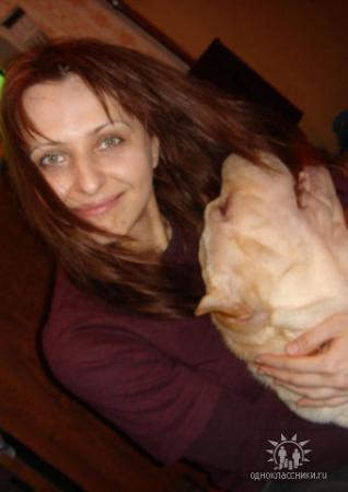 Название: getImage (3).jpg
Просмотров: 781

Размер: 15.5 Кб