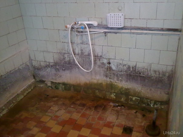 Название: 341579_original.jpg
Просмотров: 16681
Размер: 45.4 Кб