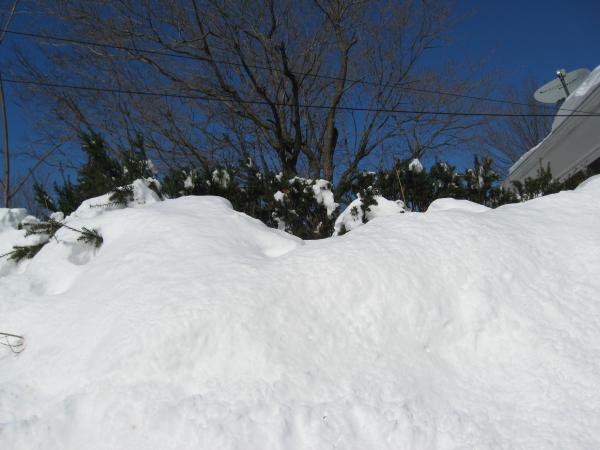 Название: 2013_3.jpg
Просмотров: 344
Размер: 34.0 Кб