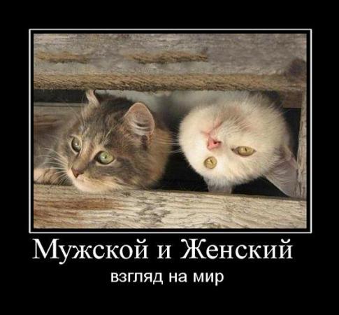 Название: 1390428458_mudrie_demi_so_smislom-279.jpg
Просмотров: 183

Размер: 31.0 Кб