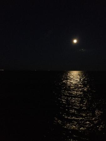 Название: IMG_4351.jpg
Просмотров: 186

Размер: 11.1 Кб