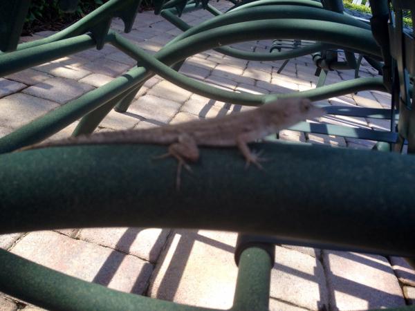 Название: image.jpg
Просмотров: 294
Размер: 40.2 Кб