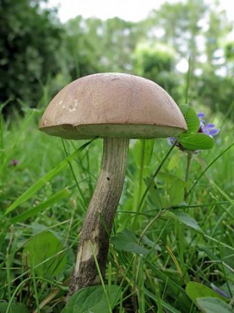 Название: image.jpg
Просмотров: 571
Размер: 27.5 Кб