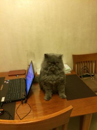 Название: bn 012.jpg
Просмотров: 246
Размер: 16.2 Кб