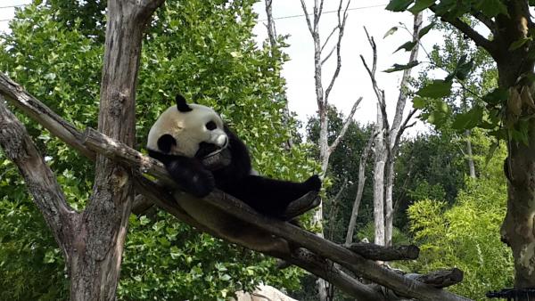 Название: hKSSQq7ekFQ.jpg
Просмотров: 432
Размер: 58.6 Кб