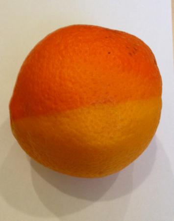 Название: image (1).jpg
Просмотров: 491
Размер: 12.1 Кб