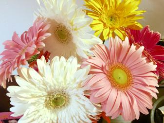 Название: image.jpg
Просмотров: 270
Размер: 20.5 Кб