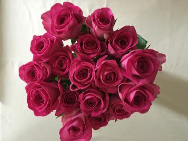 Название: image.jpg
Просмотров: 303
Размер: 16.4 Кб