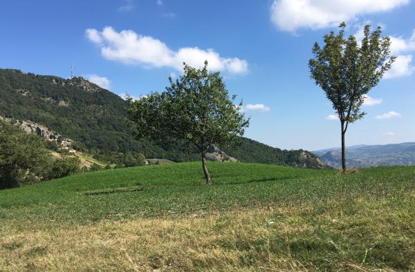 Название: IMG_1924.jpg
Просмотров: 213
Размер: 52.4 Кб