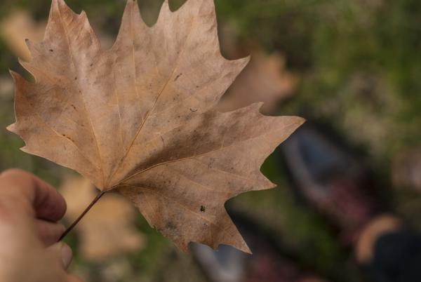 Название: IMG_2176.jpg
Просмотров: 2356
Размер: 22.8 Кб