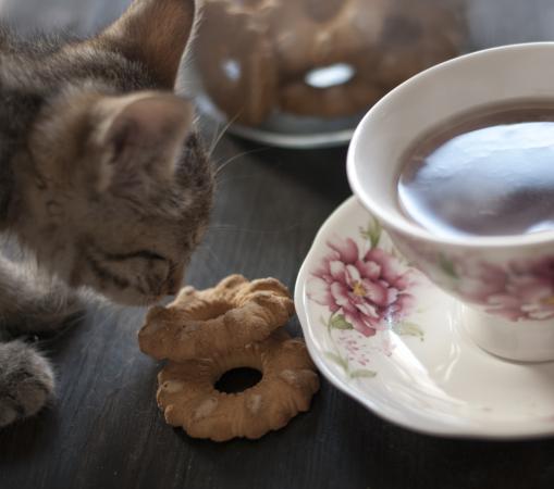 Название: IMG_2219.jpg
Просмотров: 239
Размер: 24.4 Кб