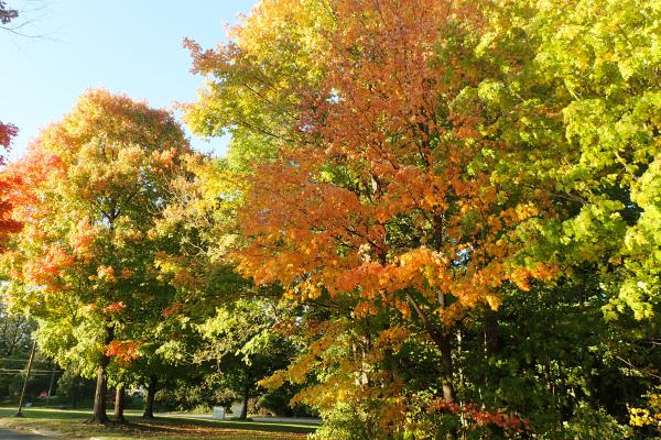 Название: PA235306.jpg
Просмотров: 209
Размер: 83.3 Кб