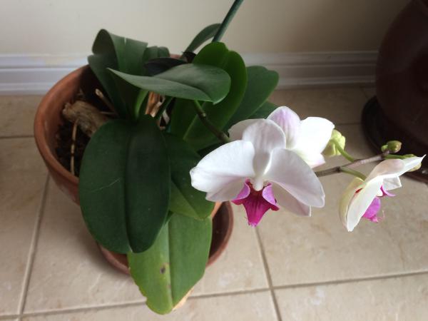 Название: IMG_8662.jpg
Просмотров: 555
Размер: 25.5 Кб