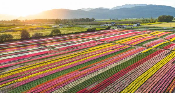 Название: home_hero.jpg
Просмотров: 732
Размер: 54.5 Кб