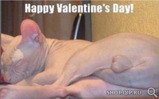 Название: ~DtaIP4C9.jpg
Просмотров: 340
Размер: 9.6 Кб