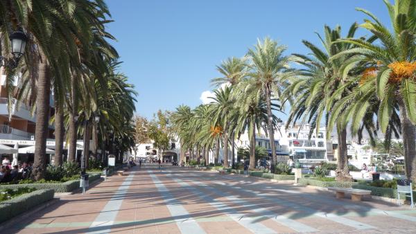 Название: P1040039.jpg
Просмотров: 441
Размер: 48.4 Кб