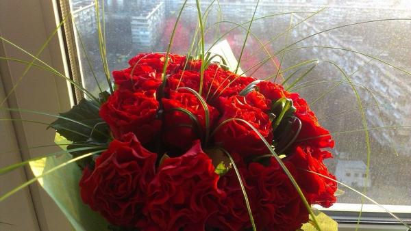 Название: 1779313_725554660812310_762463899_n.jpg
Просмотров: 475
Размер: 37.9 Кб